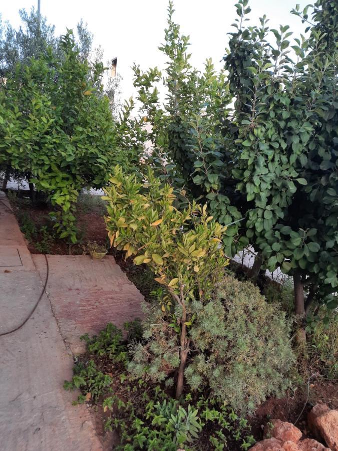 Apartament Dary Fez Zewnętrze zdjęcie
